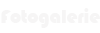 Fotogalerie
